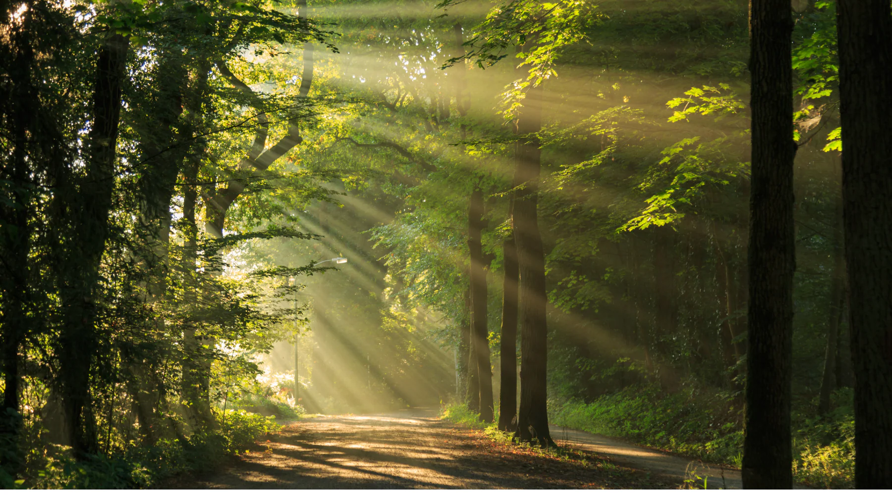 Adventure Ready Camper Essentials